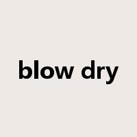 blow dry是什么意思