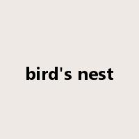 bird's nest是什么意思