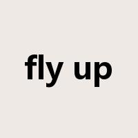 fly up是什么意思
