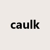 caulk是什么意思
