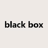 black box是什么意思