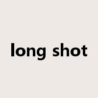 long shot是什么意思