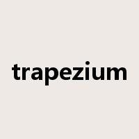 trapezium是什么意思