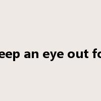 keep an eye out for是什么意思