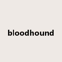 bloodhound是什么意思