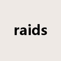 raids是什么意思