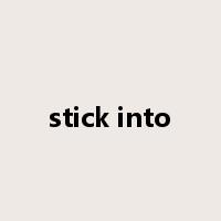 stick into是什么意思