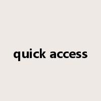 quick access是什么意思
