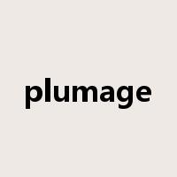 plumage是什么意思