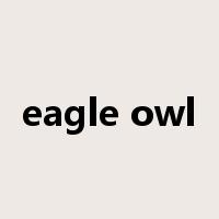 eagle owl是什么意思