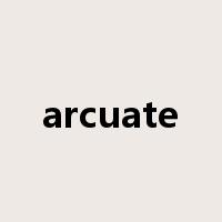 arcuate是什么意思