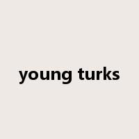 young turks是什么意思
