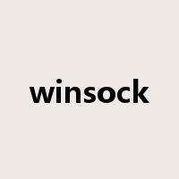 winsock是什么意思
