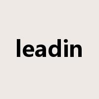 leadin是什么意思