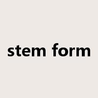 stem form是什么意思