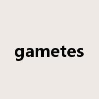 gametes是什么意思