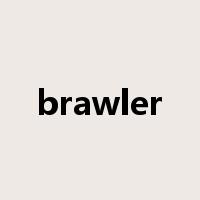 brawler是什么意思
