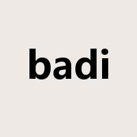 badi是什么意思