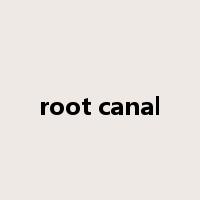 root canal是什么意思