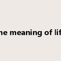 the meaning of life是什么意思