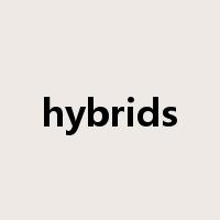hybrids是什么意思