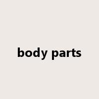 body parts是什么意思