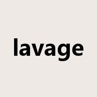 lavage是什么意思