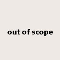 out of scope是什么意思
