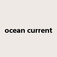 ocean current是什么意思