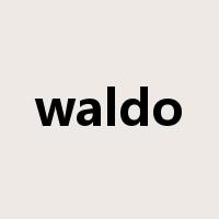 waldo是什么意思