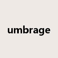 umbrage是什么意思