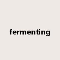 fermenting是什么意思