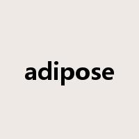 adipose是什么意思