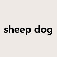 sheep dog是什么意思