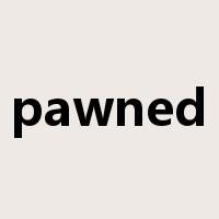 pawned是什么意思