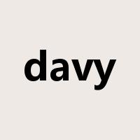 davy是什么意思