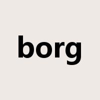 borg是什么意思