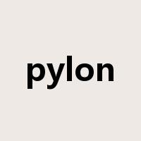 pylon是什么意思