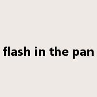flash in the pan是什么意思