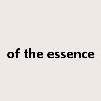 of the essence是什么意思