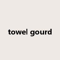 towel gourd是什么意思