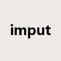 imput是什么意思