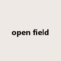 open field是什么意思