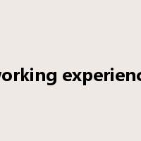 working experience是什么意思