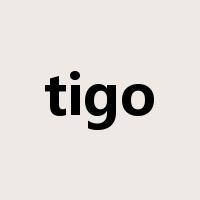 tigo是什么意思