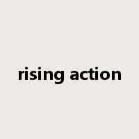 rising action是什么意思