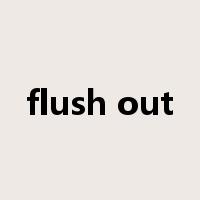 flush out是什么意思
