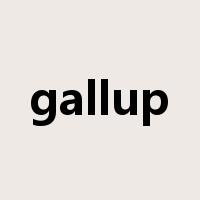 gallup是什么意思