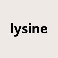 lysine是什么意思