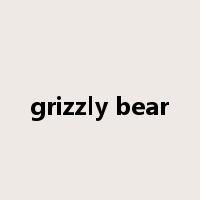 grizzly bear是什么意思